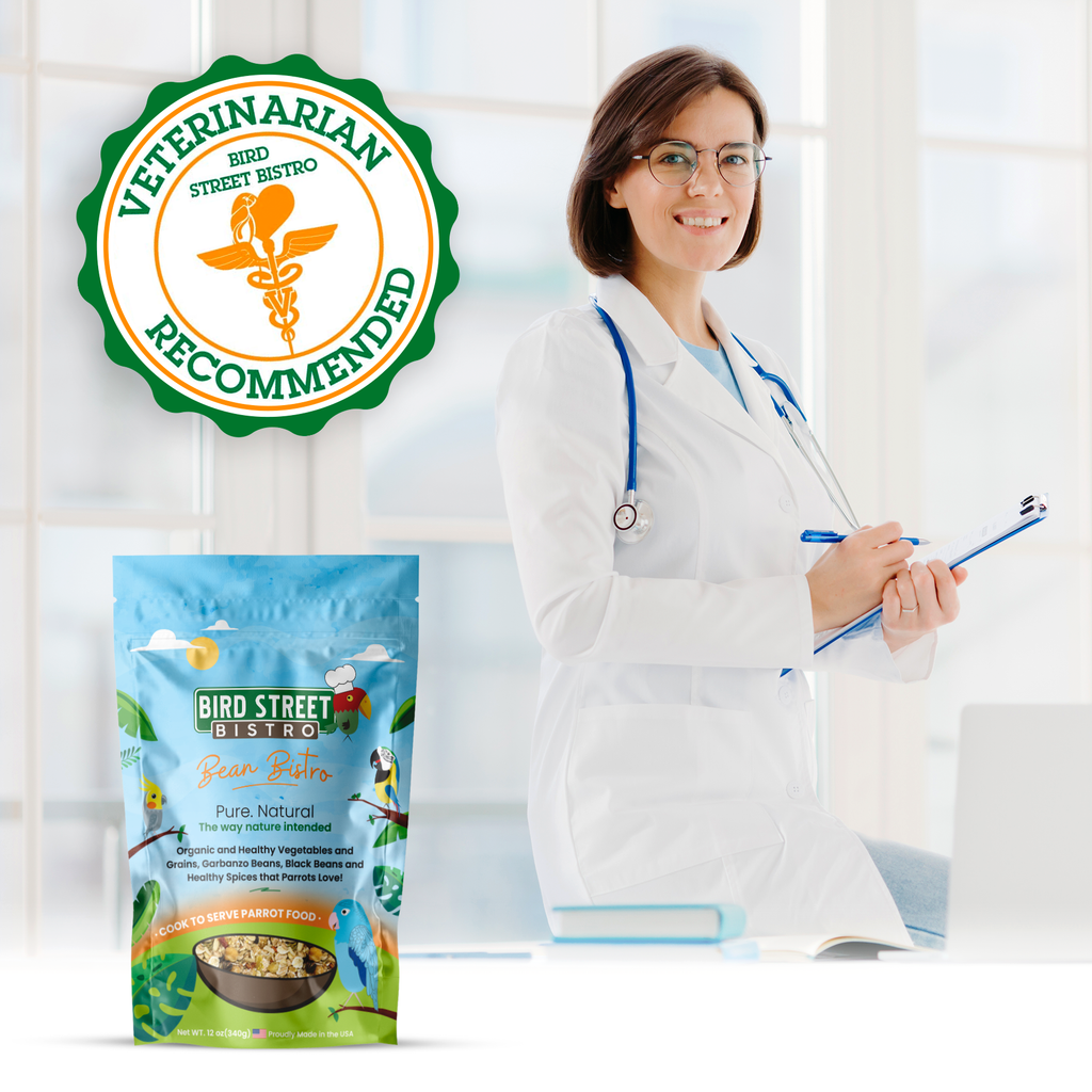 Cookable Parrot Food Blend, Natural Bean and Whole-Grain Meal for Enriching Everyday Feeding source image 7