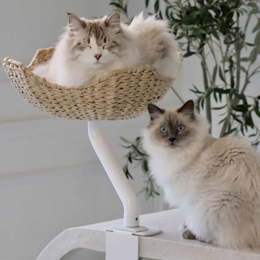 Rotating Desk-Mounted Cat Bed with Tool-Free Clamp, Handwoven or Birchwood Nest for Cats up to 45 lb source image 7