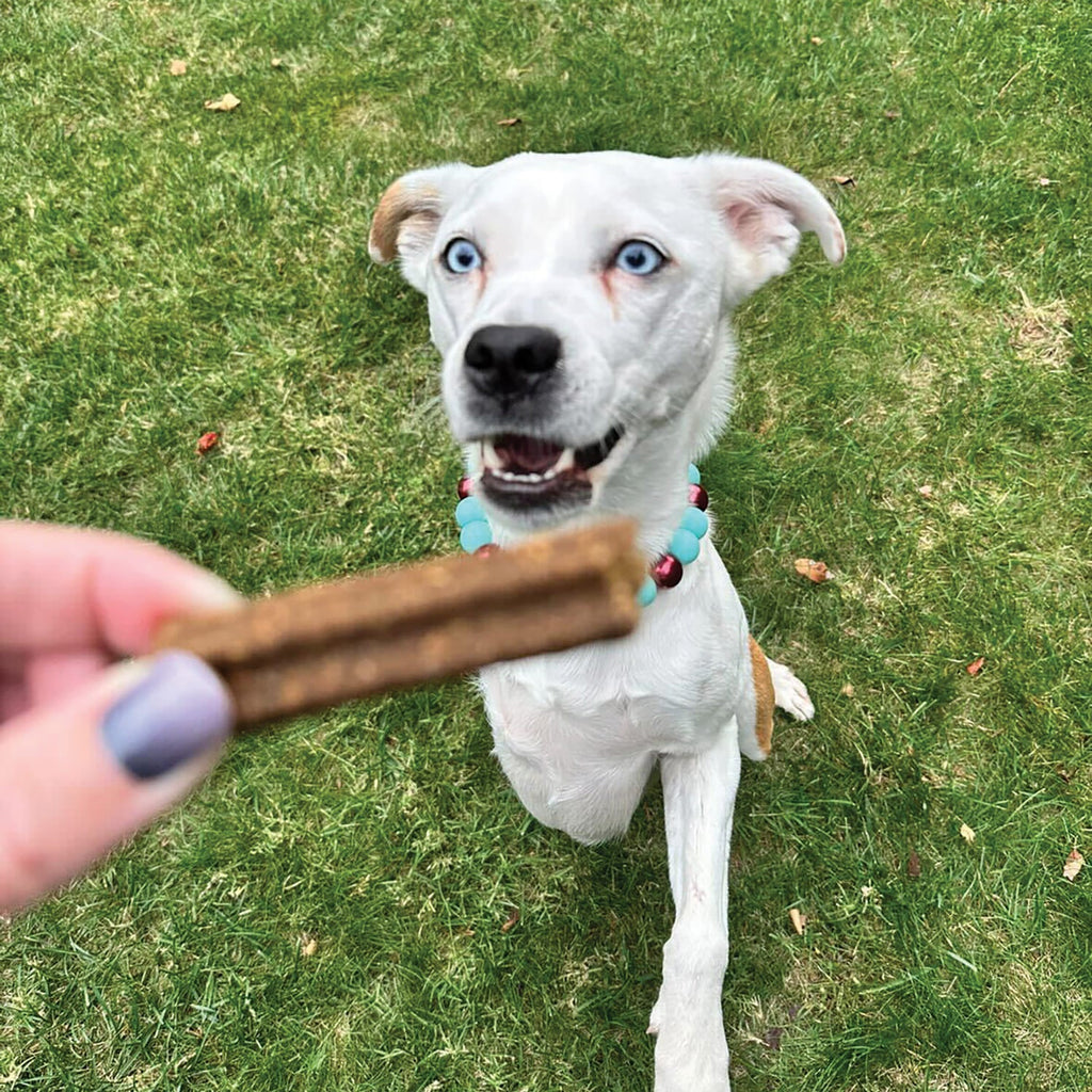 Sweet Potato Dental Chews for Dogs, Mint-Flavored 24 oz Bag for Natural Abrasion and Fresher Breath source image 7