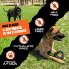 Rubber Dog Chew Toy in a Solid Natural Ring for Medium and Large Power Chewers and Supervised Play source image 7