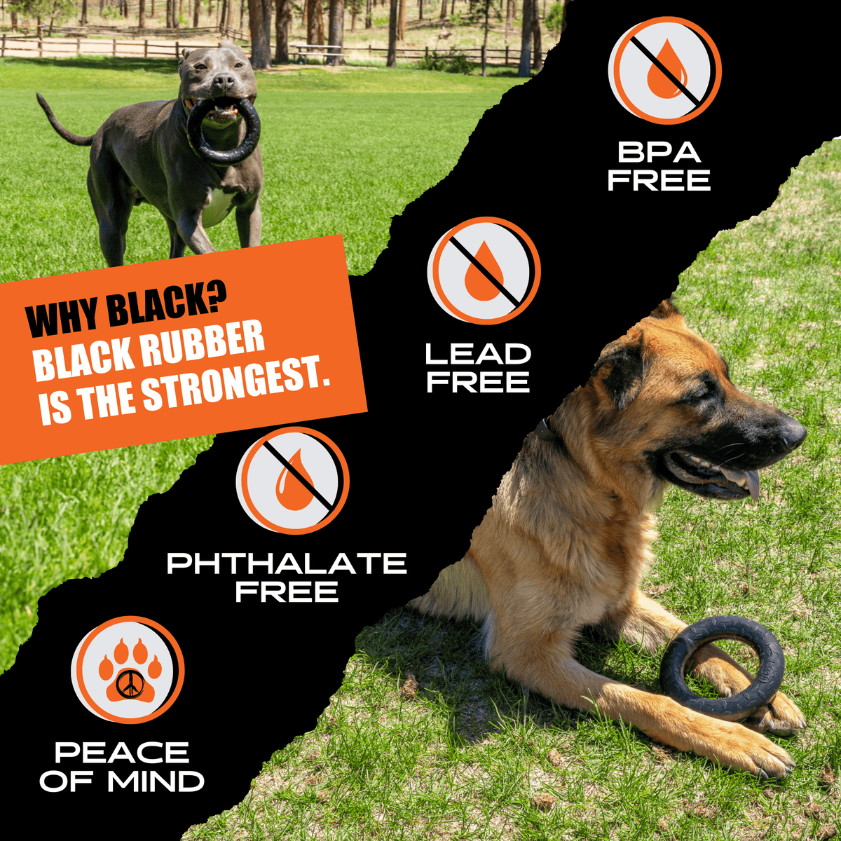 Rubber Dog Chew Toy in a Solid Natural Ring for Medium and Large Power Chewers and Supervised Play source image 7