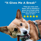 Six-Inch Thick Odor-Free Bully Sticks, Single-Ingredient Beef Chews for Medium and Strong Chewers source image 7