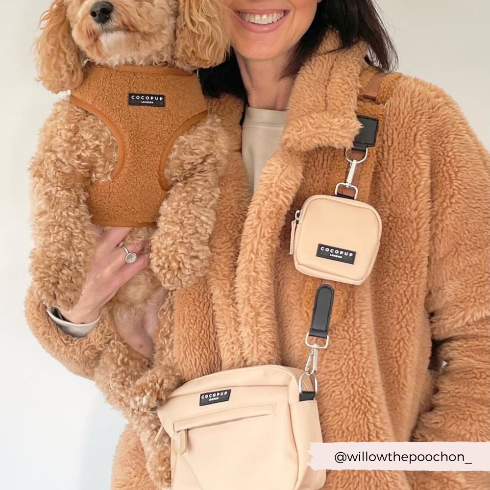 Adjustable Neck Dog Harness in Teddy Texture, Lightweight Walking Vest for XXS to Large Dogs source image 7