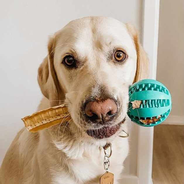 Natural Rubber Treat-Dispensing Dog Toy, Flexible Dental Chew Ball for Fetch in 6 cm and 7 cm Sizes source image 7