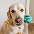 Natural Rubber Treat-Dispensing Dog Toy, Flexible Dental Chew Ball for Fetch in 6 cm and 7 cm Sizes source image 7