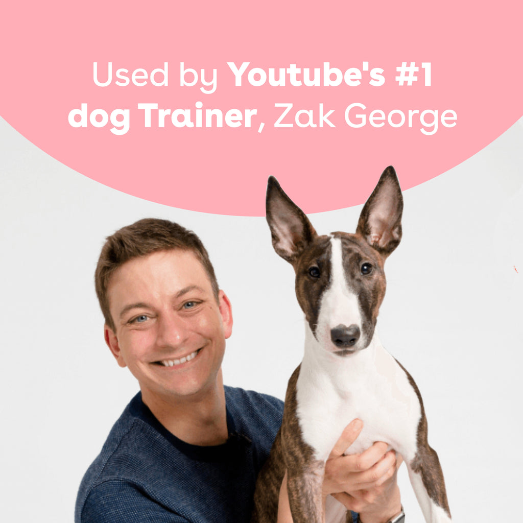 Freeze-Dried Blueberry Dog Training Treats in 2-Ounce Bags, Single and Multipack Sizes for Reward Sessions source image 7