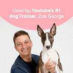 Freeze-Dried Blueberry Dog Training Treats in 2-Ounce Bags, Single and Multipack Sizes for Reward Sessions source image 7