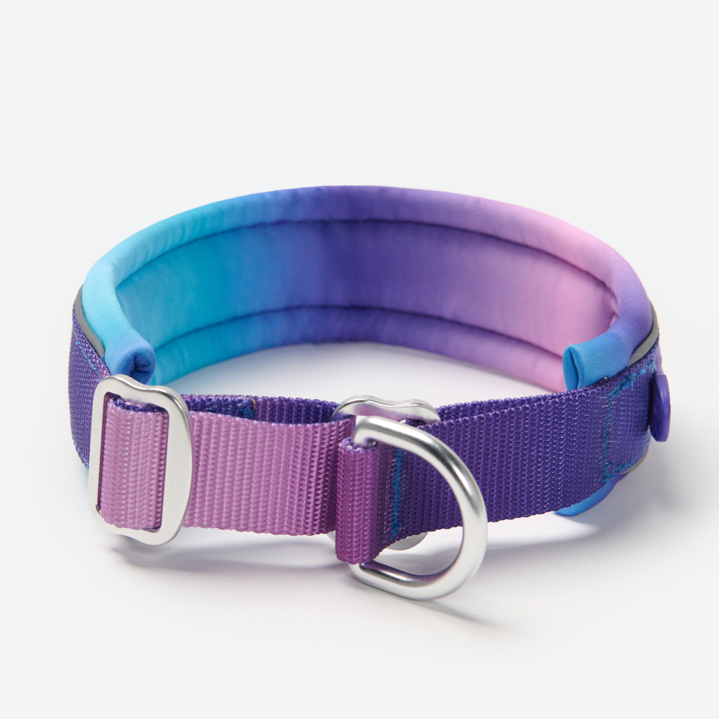 Cushioned Martingale Dog Collar for Gentle Leash Guidance, Limited-Cinch Design in Five Sizes source image 7