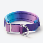 Cushioned Martingale Dog Collar for Gentle Leash Guidance, Limited-Cinch Design in Five Sizes source image 7