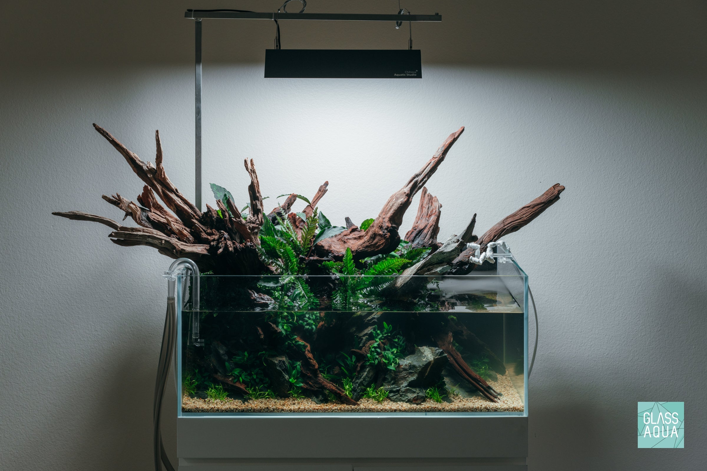 Rimless Shallow Aquarium Tank, Low-Iron Open-Top Design for Planted or Reef Aquascapes from 0.5 to 68.4 Gallons source image 7