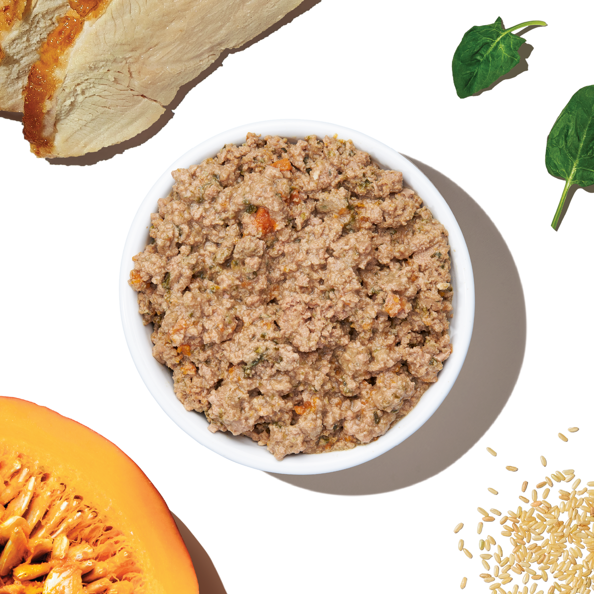 Wet Dog Food Turkey Pâté with Autumn Vegetables, 10.5 oz Six-Pack for Meals or Bowl Toppers source image 7