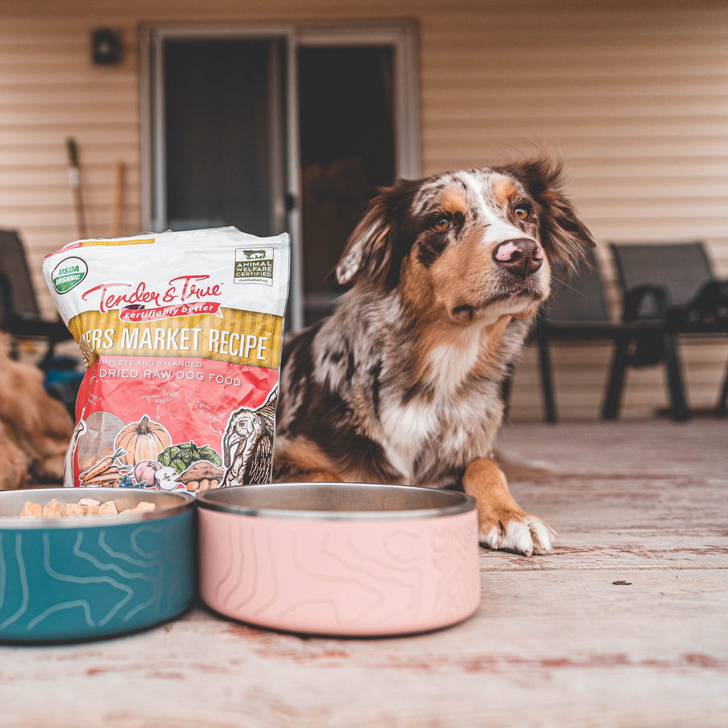 Organic Freeze-Dried Raw Dog Food with Chicken and Turkey, Grain-Free Complete Meal or Topper source image 7