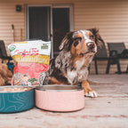 Organic Freeze-Dried Raw Dog Food with Chicken and Turkey, Grain-Free Complete Meal or Topper source image 7