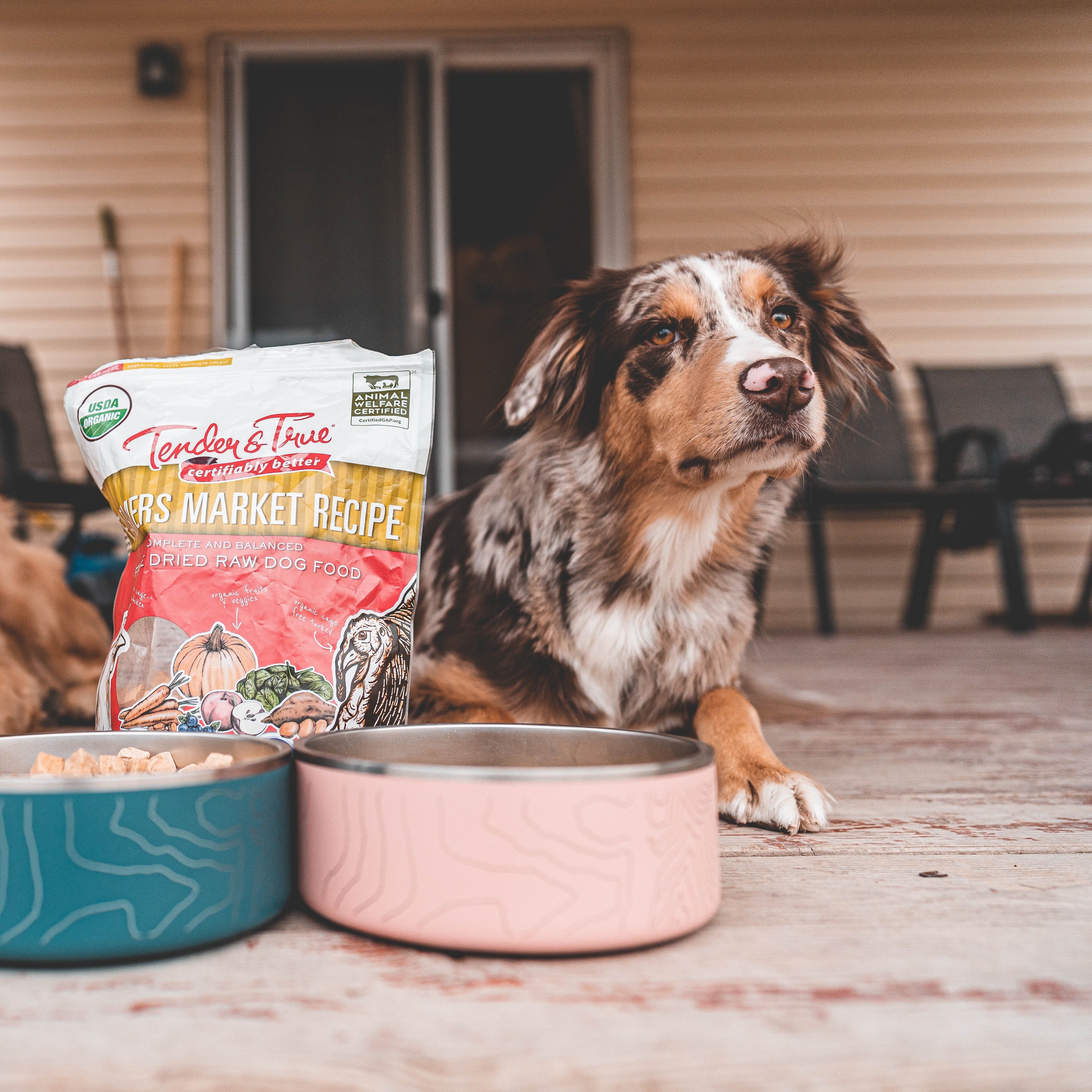 Organic Freeze-Dried Raw Dog Food with Chicken and Turkey, Grain-Free Complete Meal or Topper source image 7