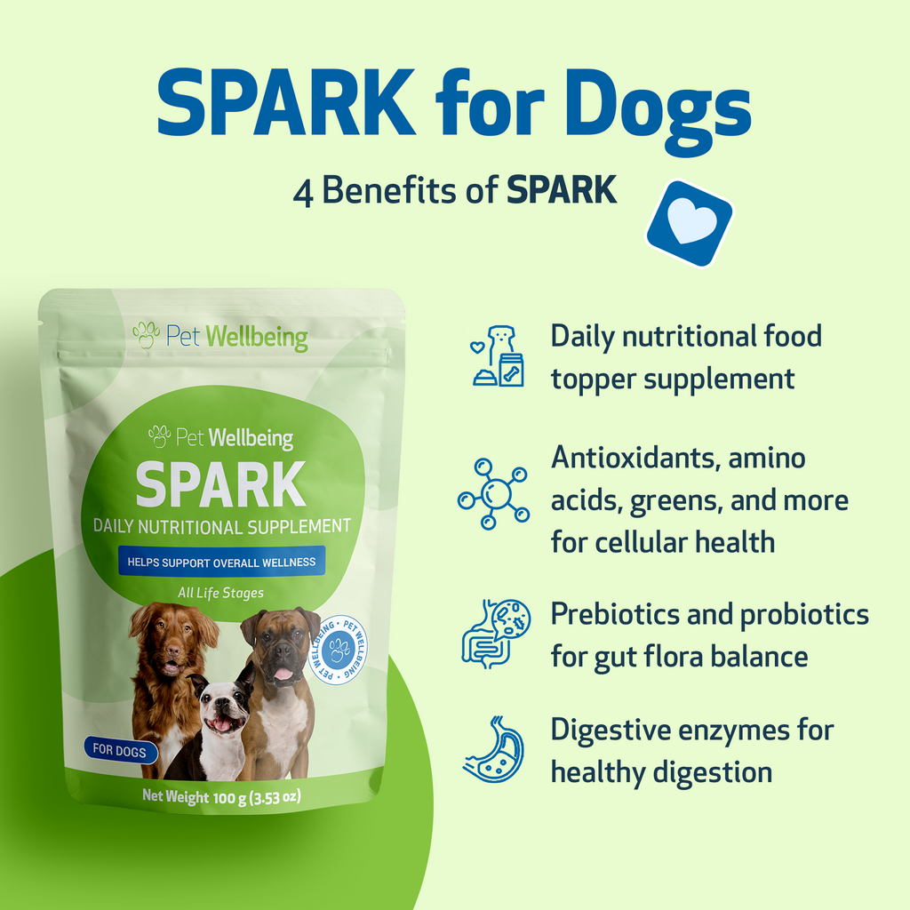Daily Dog Greens Supplement, 3.53 oz Bacon-Flavored Food Topper for Digestion and Everyday Nutrition source image 7