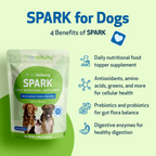 Daily Dog Greens Supplement, 3.53 oz Bacon-Flavored Food Topper for Digestion and Everyday Nutrition source image 7