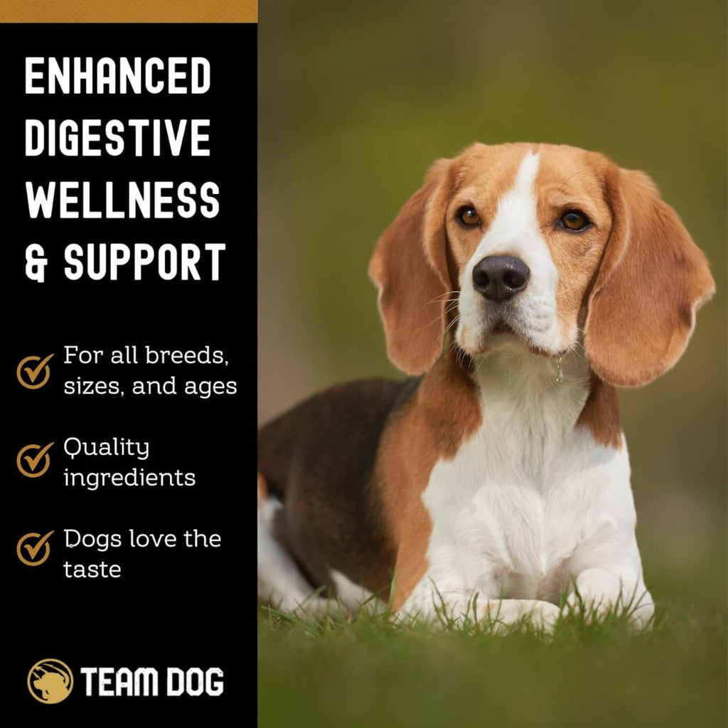 Dog Digestive and Probiotic Soft Chews, 120 Count with Enzyme Blend and Two Billion CFUs per Chew source image 7