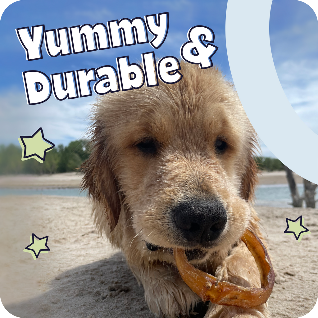 Spiral Bully Sticks for Dogs, Slow-Roasted Beef Pizzle Chews in 3, 10, 25 or 50 Count Packs source image 7