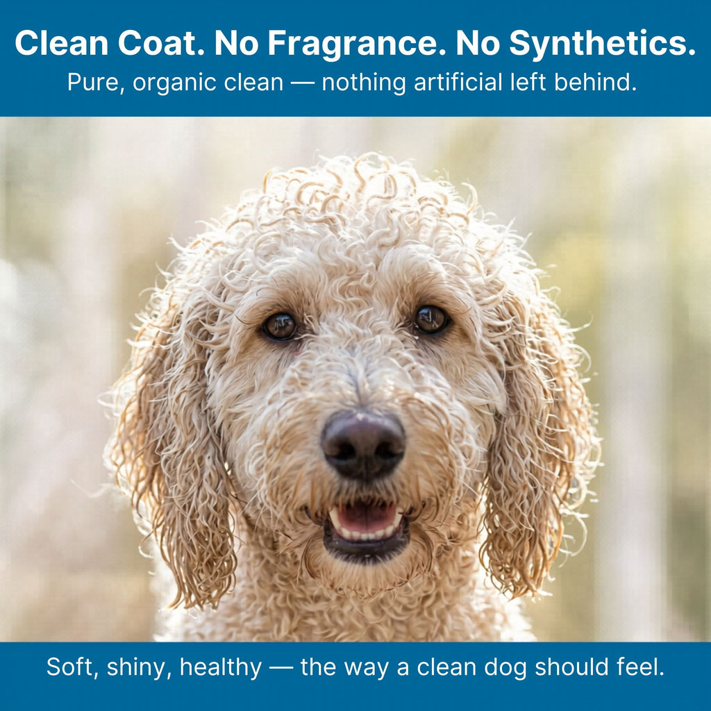 Unscented Organic Dog Shampoo for Sensitive Skin, Aloe-Based Concentrate in Three Bottle Sizes source image 7