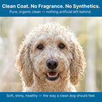 Unscented Organic Dog Shampoo for Sensitive Skin, Aloe-Based Concentrate in Three Bottle Sizes source image 7