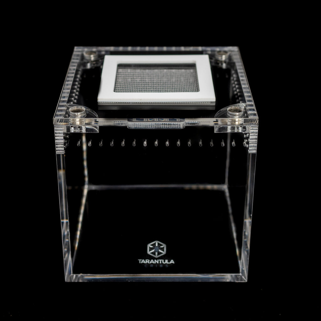 Four-Inch Acrylic Tarantula Terrarium, Compact Cube in Standard, Mesh, Max-Vent and Canopy Lid Styles source image 7