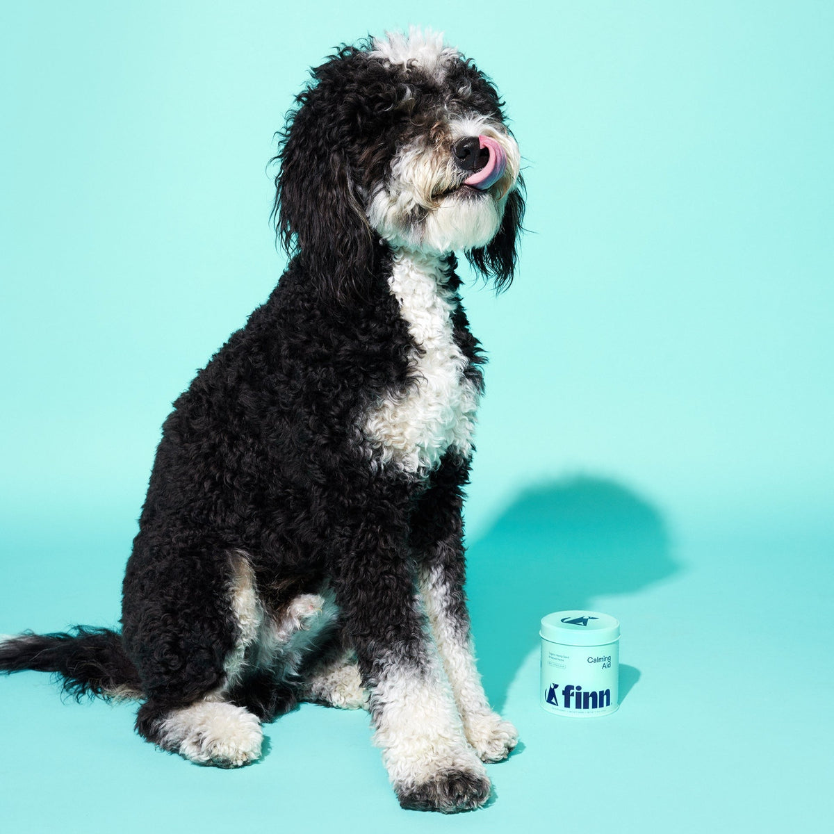 Calming Soft Chews for Dogs, Organic Herbal Daily Support for Stressful Moments and Hyperactive Behavior source image 7