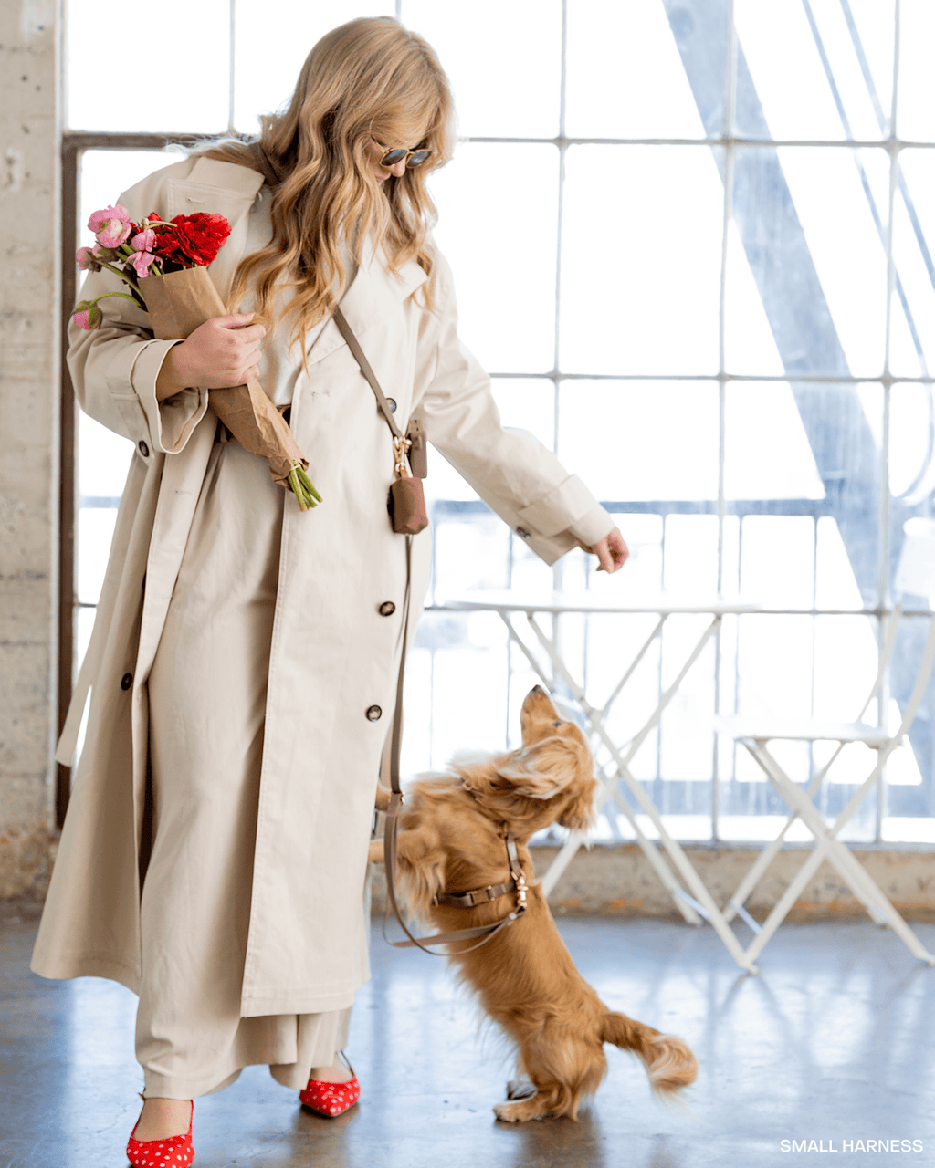 Hands-Free Dog Leash in Espresso Brown, Four Convertible Carry Modes in Standard and Wide Widths source image 7
