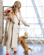 Hands-Free Dog Leash in Espresso Brown, Four Convertible Carry Modes in Standard and Wide Widths source image 7