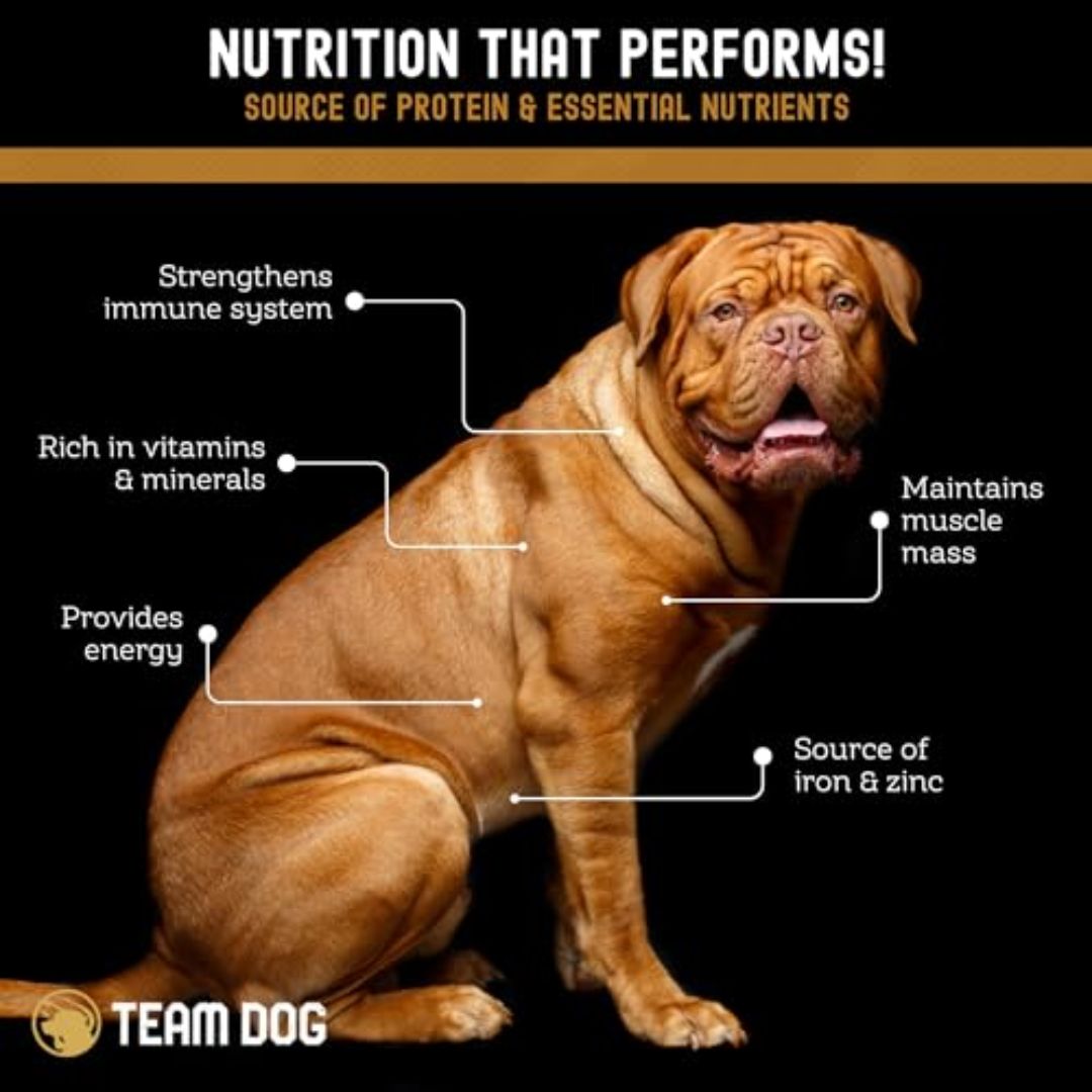 Freeze-Dried Beef Dog Treats for Training with USA-Sourced Meat and a Crunchy Bite-Sized Texture product image 7