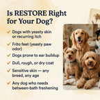 Organic Dog Conditioning Rinse with Apple Cider Vinegar, 8 oz or 16 oz for Coat Care Between Baths source image 7