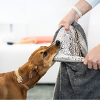 Waterproof Pet Blanket with Absorbent Core and Reinforced Edge Binding in Four Washable Sizes source image 7