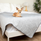 Cooling Waterproof Dog Blanket in Arctic Grey for Indoor Comfort and Furniture Protection, Two Sizes source image 7