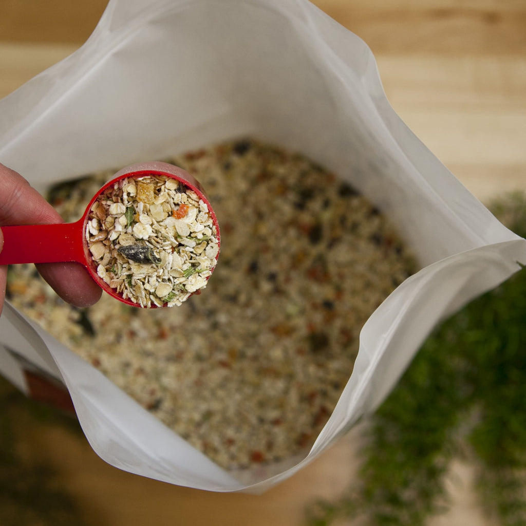 Red measuring scoop filled with mixed grain and herb blend held over open resealable bag