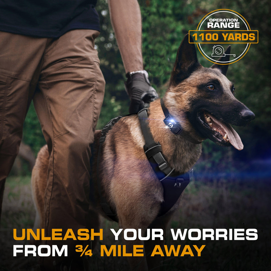 Remote Dog Training Collar for Long-Range Sessions, Waterproof Receiver with 124 Adjustable Levels source image 7