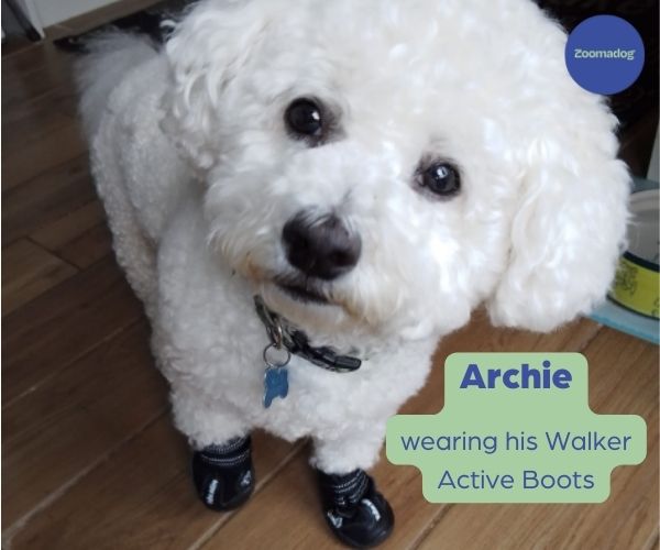 Non-Slip Dog Walking Boots, Two-Piece Paw Protection Pair with Reflective Strips and Secure Velcro Fit source image 7