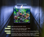 Riccia Fluitans Tissue Culture Aquarium Plant for Bright Green Floating Mats and Hardscape Carpeting source image 7