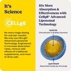 Bites for Horses with CELLg8 Advanced Liposomal Technology graphic.