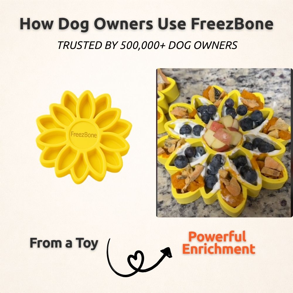 Frozen Sunflower Dog Toy for Licking and Chewing, Large Treat-Fillable Design in Three Bright Colors source image 7