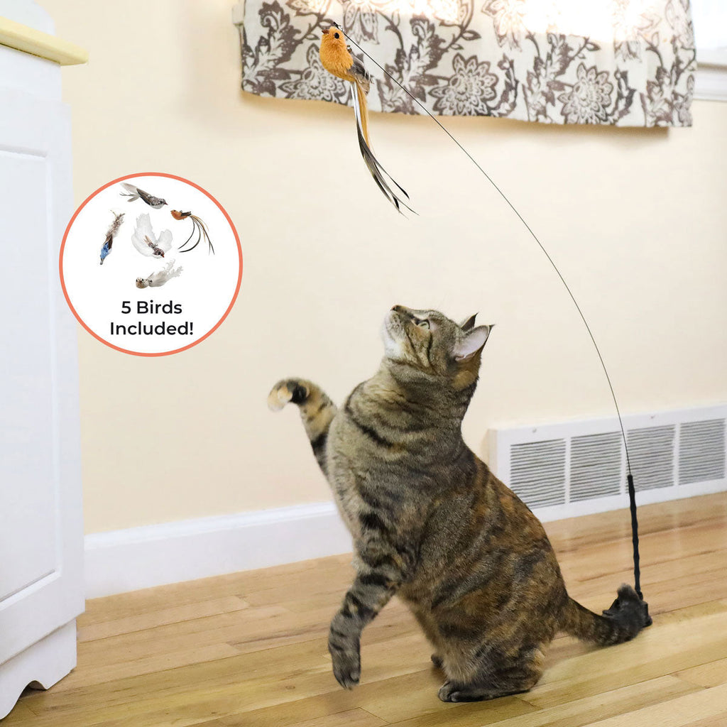Interactive Bird Cat Toy Bundle, Weighted Base and Suction Cup Set with Five Realistic Attachments for Hunting Play source image 7