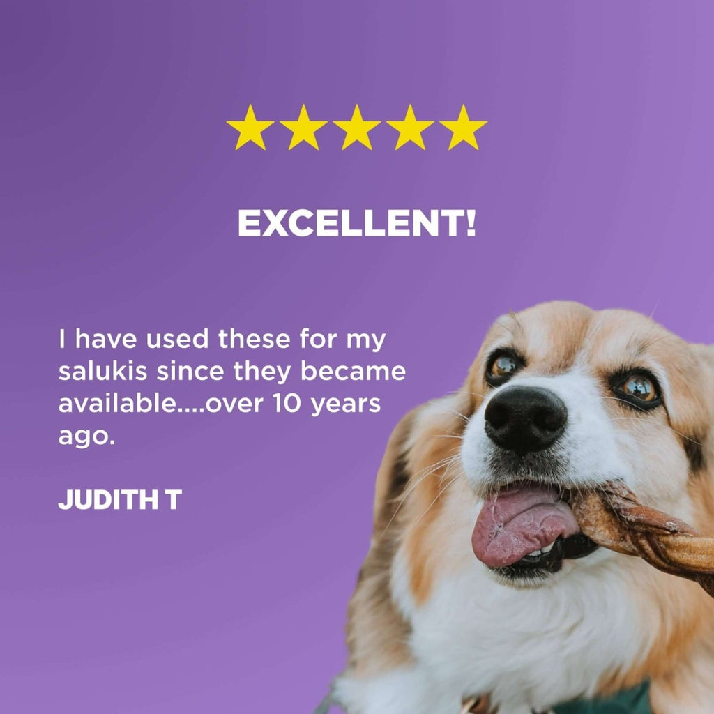 Braided Bully Stick Dog Chews Made from 100% Beef, Six-Inch Treats in Four Multi-Pack Quantities source image 7