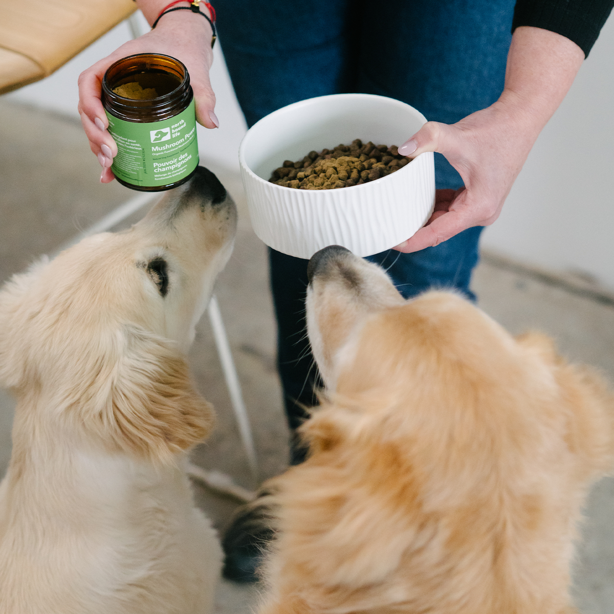 Five-Mushroom Dog Food Topper product image 7