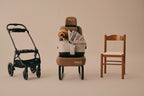 Ventilated Pet Car Seat System product image 7