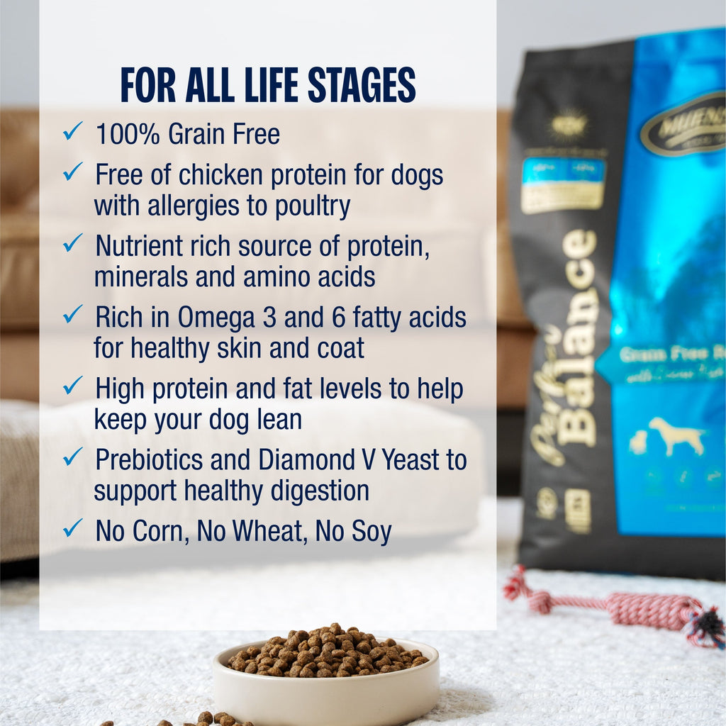 Grain-Free Ocean Fish Dry Dog Food product image 7