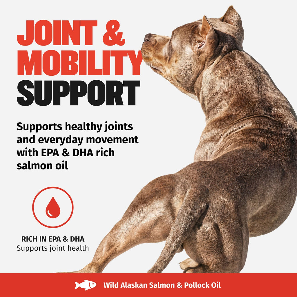 Dog Omega Fatty Acid Oil Supplement product image 7