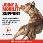 Dog Omega Fatty Acid Oil Supplement product image 7