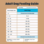 Beef and Ancient Grains Dry Dog Food product image 7