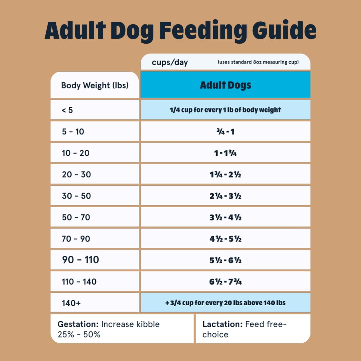 Beef and Ancient Grains Dry Dog Food product image 7