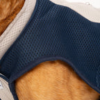 Triple-Layer Evaporative Dog Cooling Coat product image 7