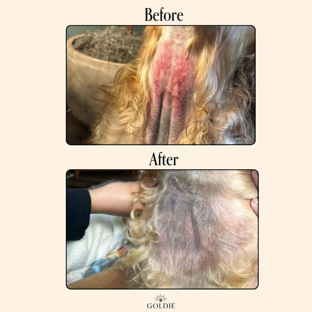 Hypochlorous Acid Dog Skin Spray product image 7