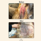 Hypochlorous Acid Dog Skin Spray product image 7